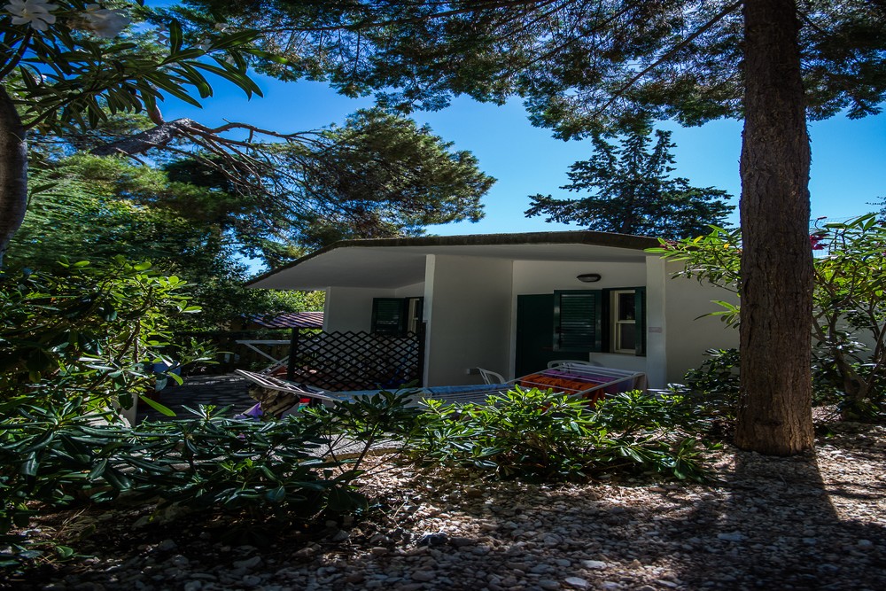 Camping Village Internazionale